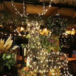 Alma Christmas Parade 2022 Alma Wonderland